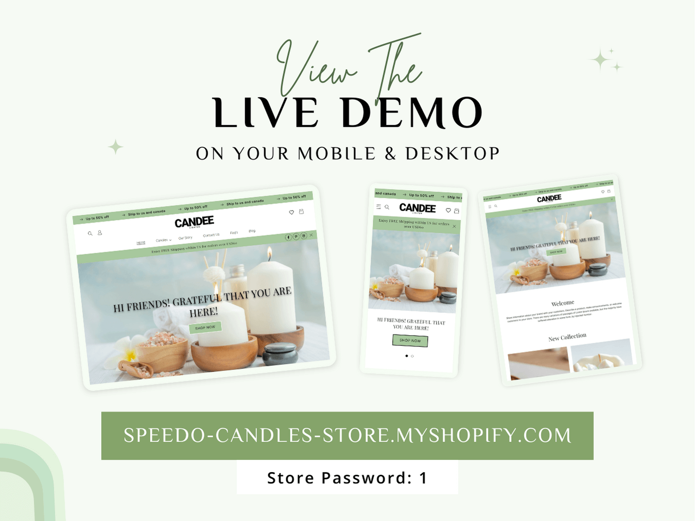 Shopify Theme Store