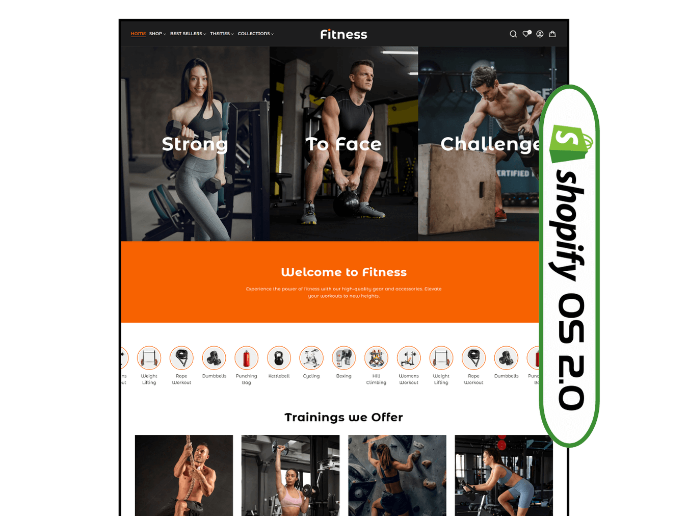 Fitness Equipment Gym Clothing Shopify Theme